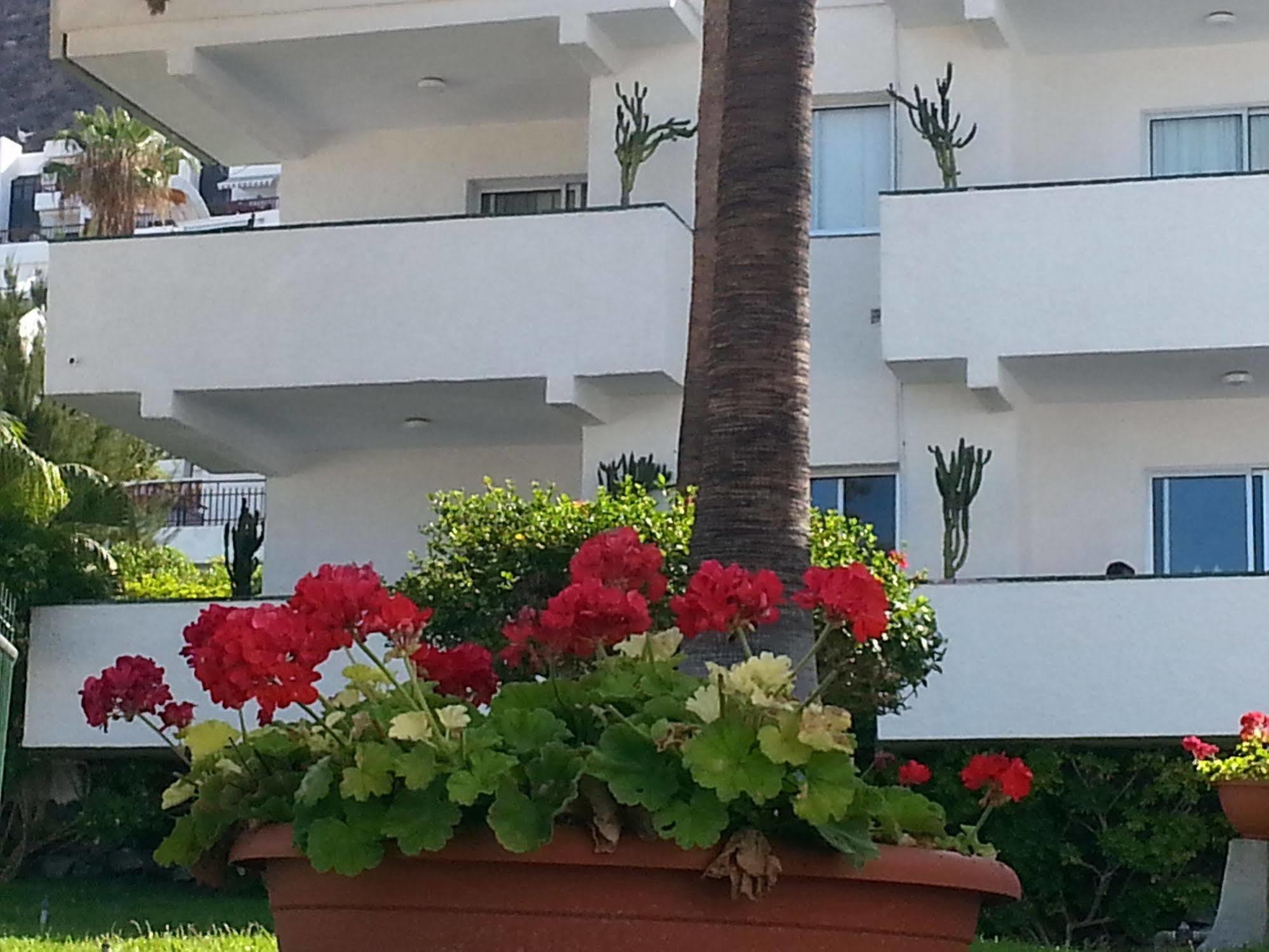 Apartamentos El Sombrero Acantilado de los Gigantes Екстериор снимка